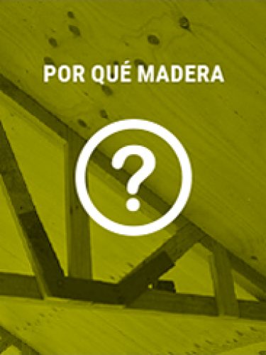 Ho_pregunta_fondo_bcbd00