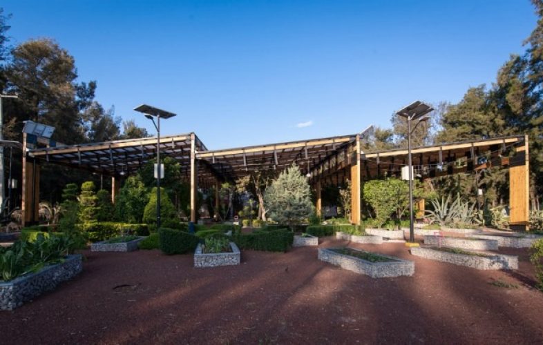 HuertoUrbano_portada