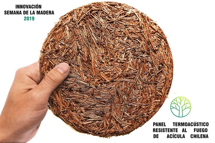 IMAGEN PRINCIPAL 72PPP