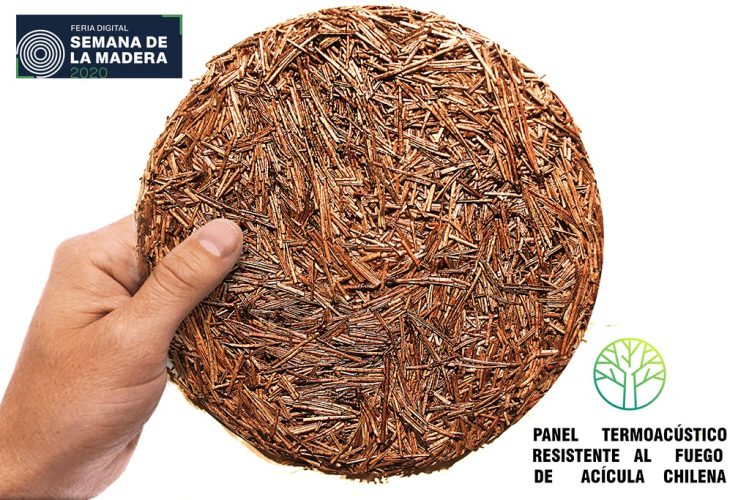 IMAGEN PRINCIPAL 72PPP