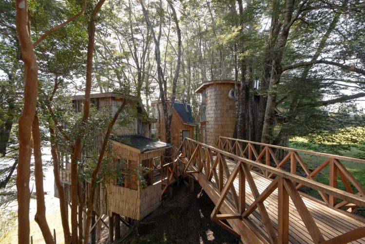 IMAGEN-PRINCIPAL-DEL-PROYECTO