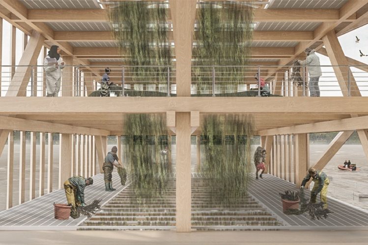 IMAGEN02_ARQ5941