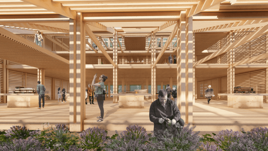 IMG-01-ARQ2676-1536x864