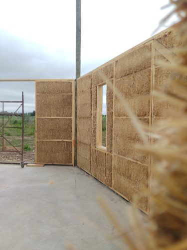 IMG_20221108_165757664