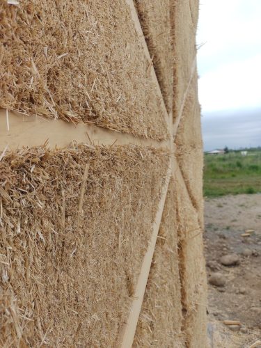 IMG_20221108_165801537