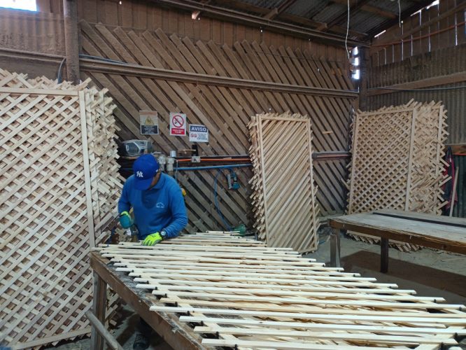 IMG_20230117_153852887