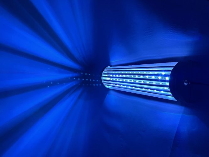 IMG_PRINCIPAL_DIS3825