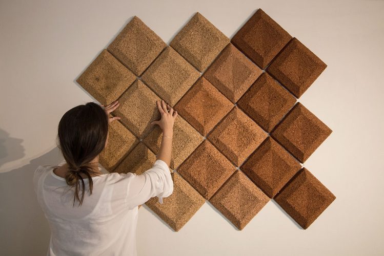 INN854_FotoPrincipalProyecto