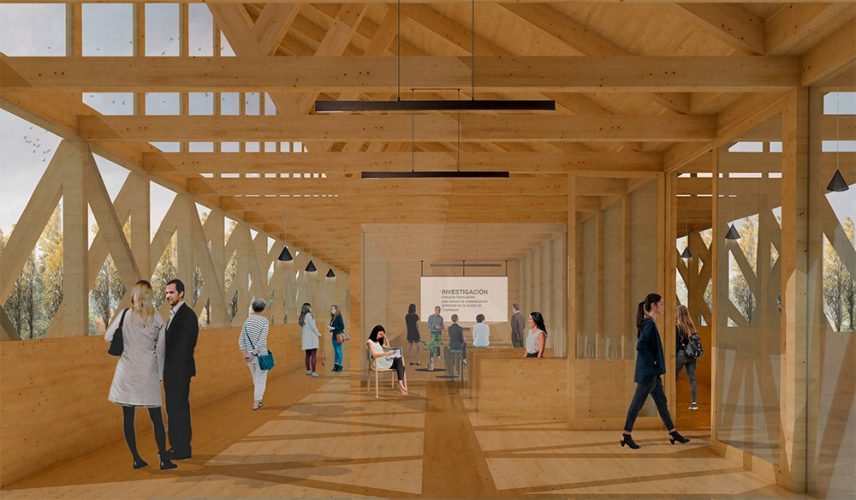 Imagen 03 (taller trabajo colectivo +acceso)