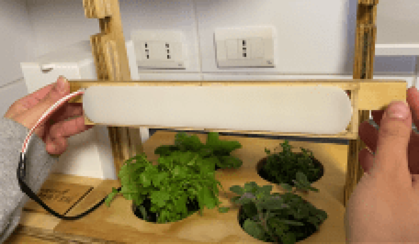 Imagen-Secundaria-1-