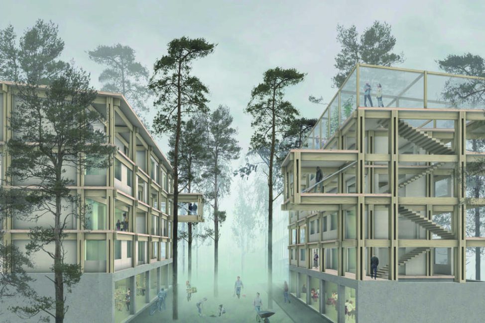 Imagen-objetivo-CORMA-2