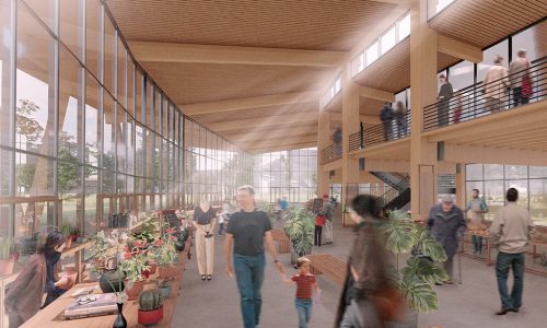 Imagen-principal-del-proyecto