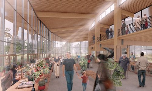 Imagen-principal-del-proyecto