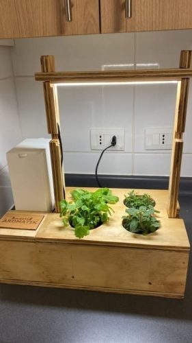 Imagen-principal_corma