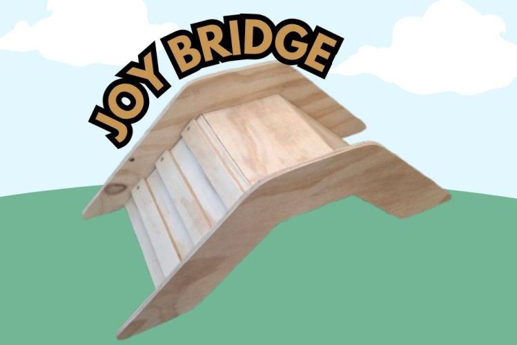 Joy-Bridge-1