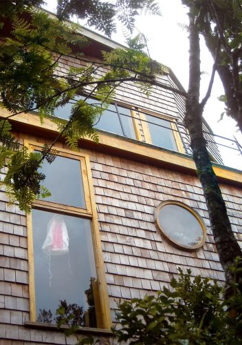 KOÑIMO_DET-02_Claro-de-Bosque