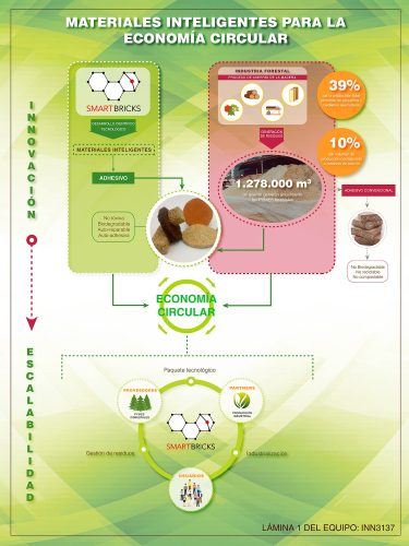 Lámina 1 Smart Bricks