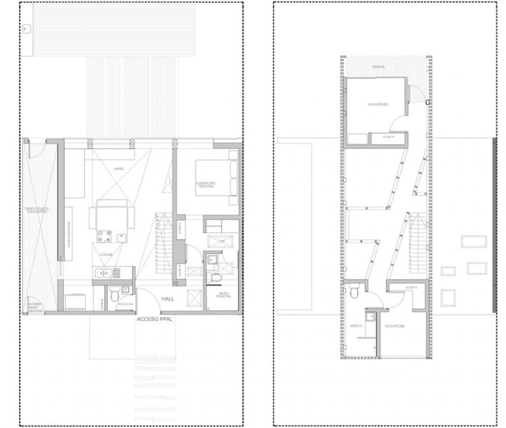 LAMINA-PLANTAS1-1000x846