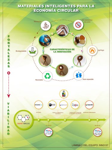 Lámina 2 Smart Bricks