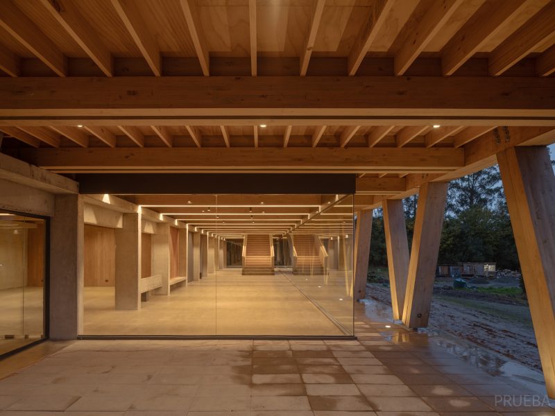 MUMO_ACCESO_ESCALERA