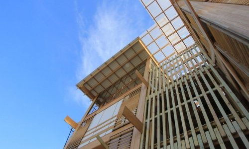 Madera y cambio climatico