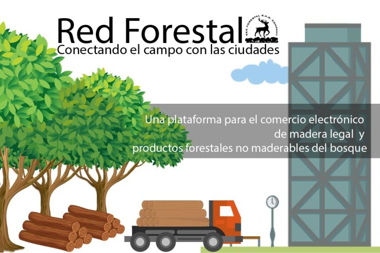 Mesa de trabajo_Mesa de trabajo 1