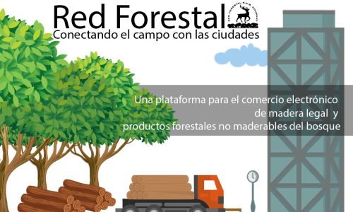 Mesa de trabajo_Mesa de trabajo 1