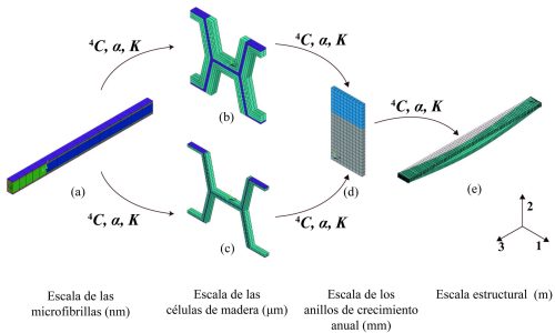 Modelo Multiescala