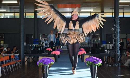 Noticia_Desfiledemadera1