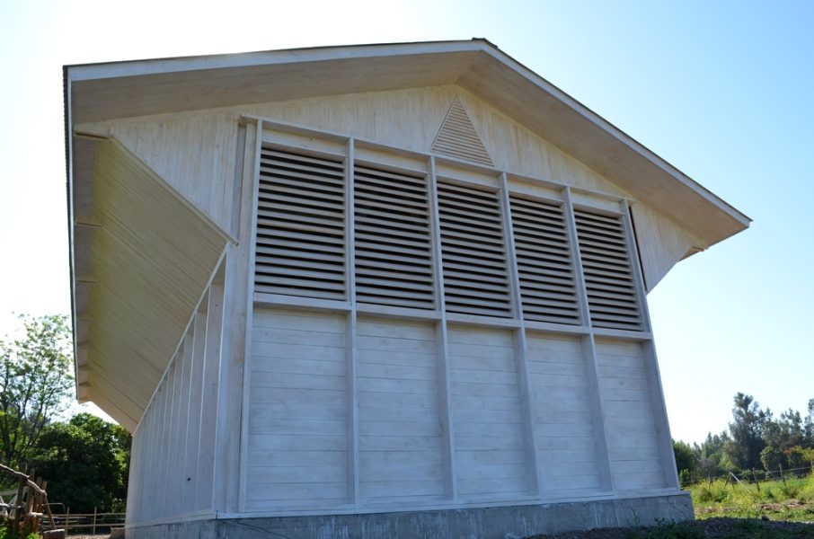 Obra_BodegaElTranque10