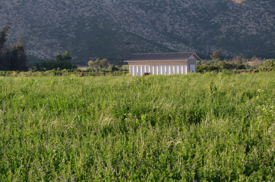 Obra_BodegaElTranque13