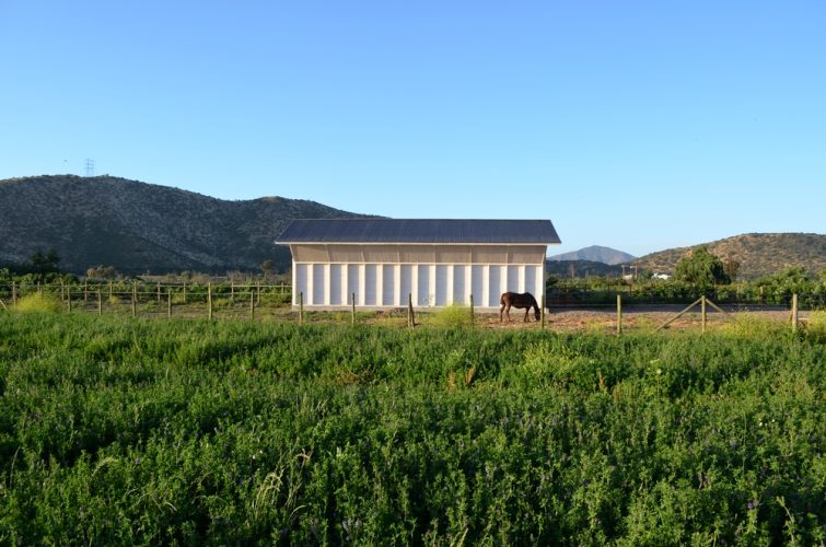 Obra_BodegaElTranque17