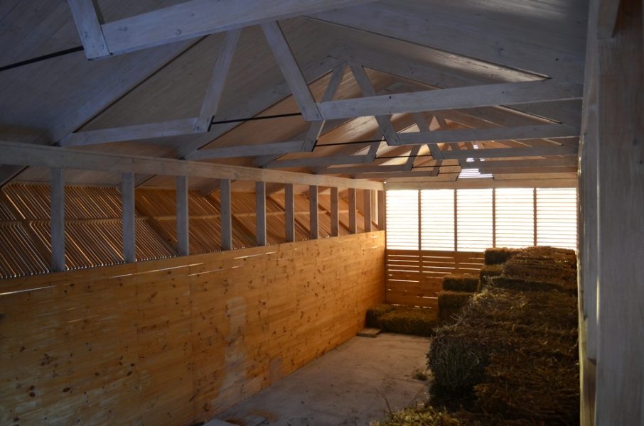 Obra_BodegaElTranque22