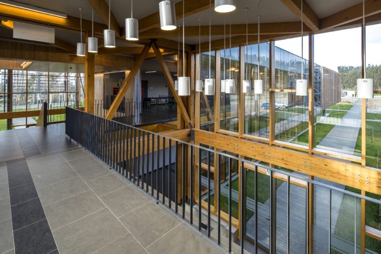 Obra_CampusArauco13