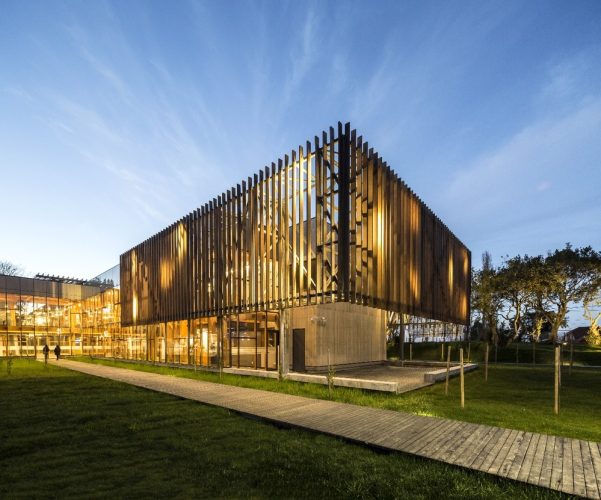 Obra_CampusArauco21