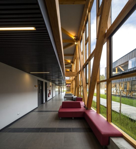 Obra_CampusArauco3