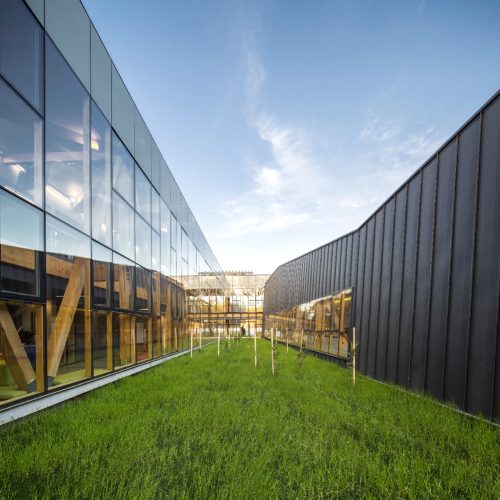 Obra_CampusArauco6