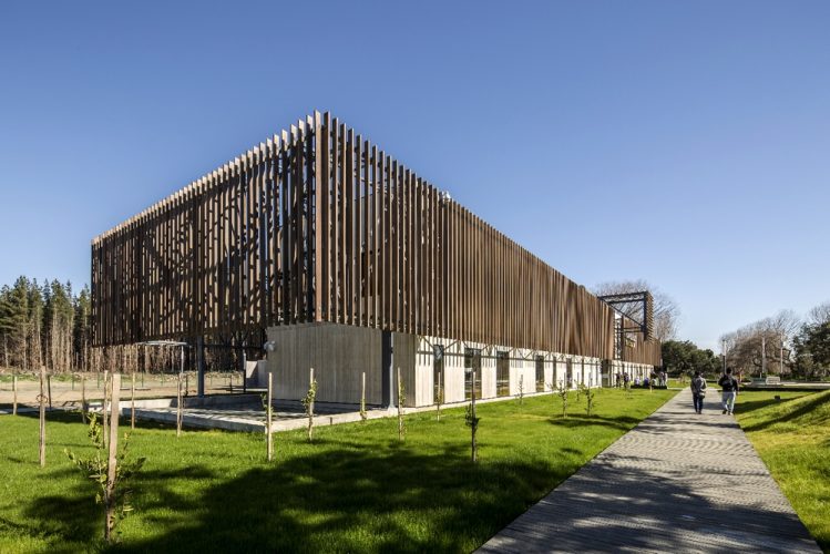 Obra_CampusArauco8