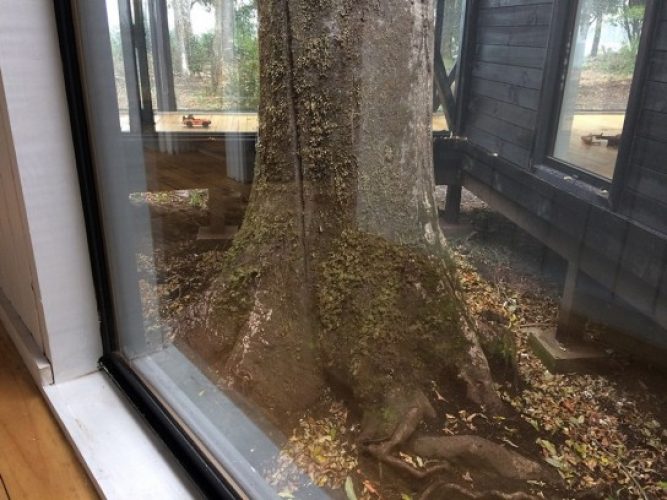 Obra_CasaCorredores-12