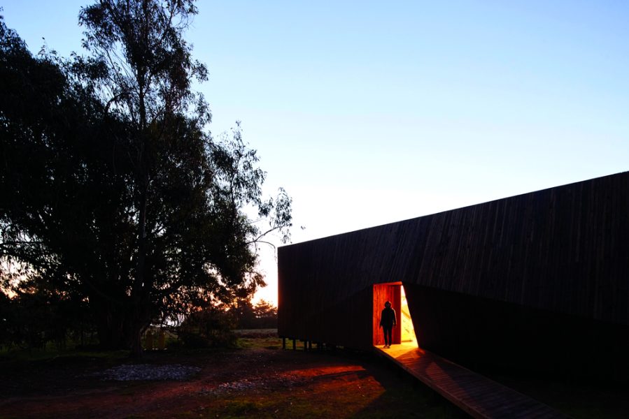 Obra_Casadospieles13