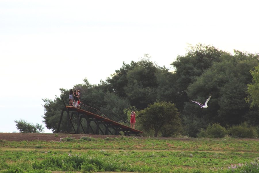 Obra_Estaradero del Lago4