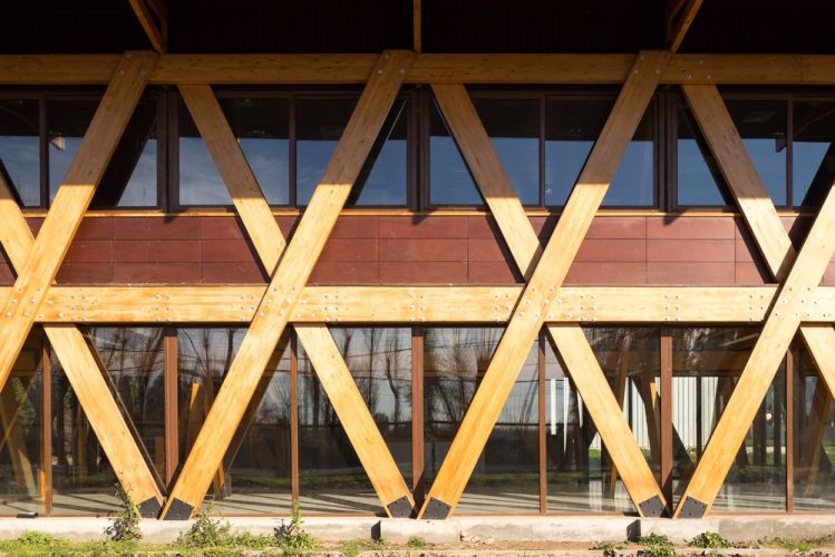 Obra_Exportadora de Miel10