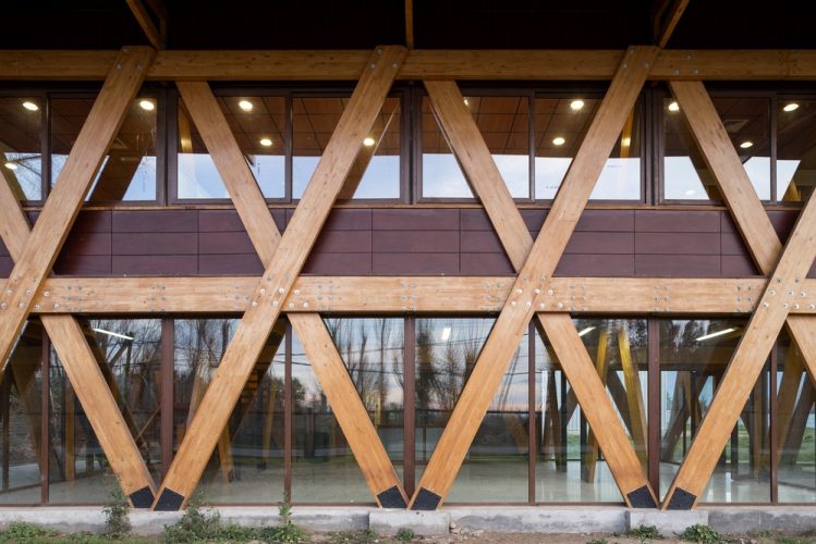 Obra_Exportadora de Miel16