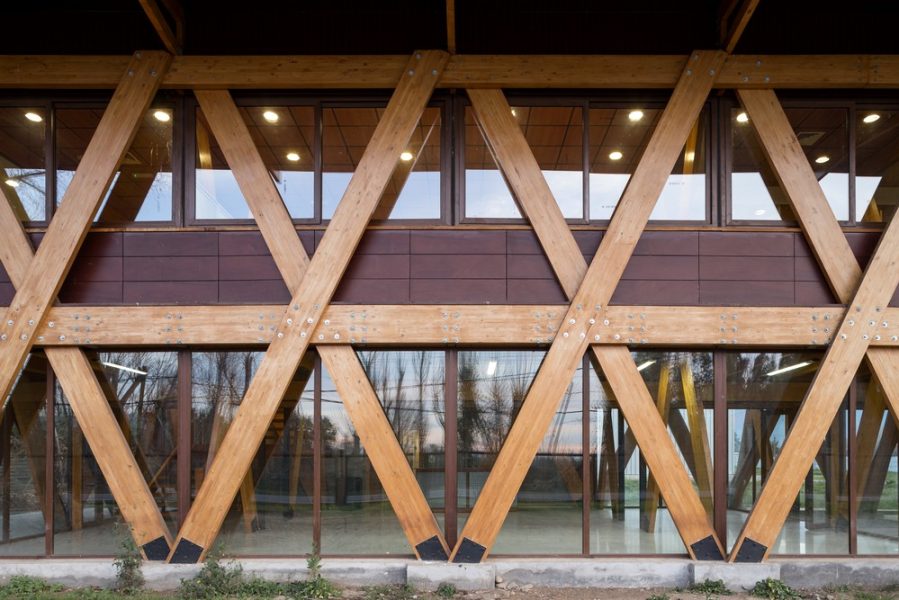 Obra_Exportadora de Miel16