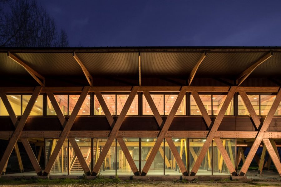 Obra_Exportadora de Miel3