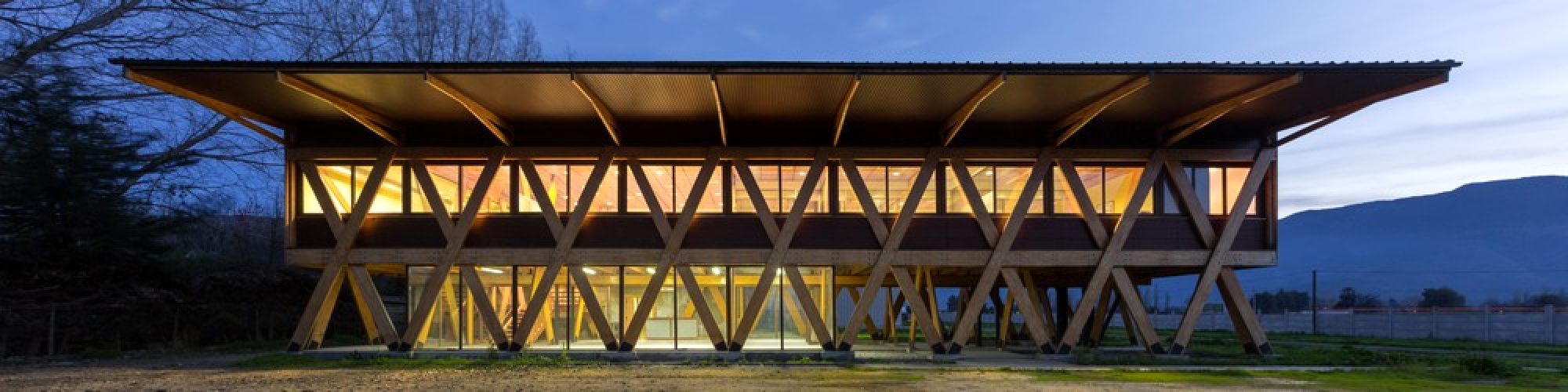 Obra_Exportadora de Miel4