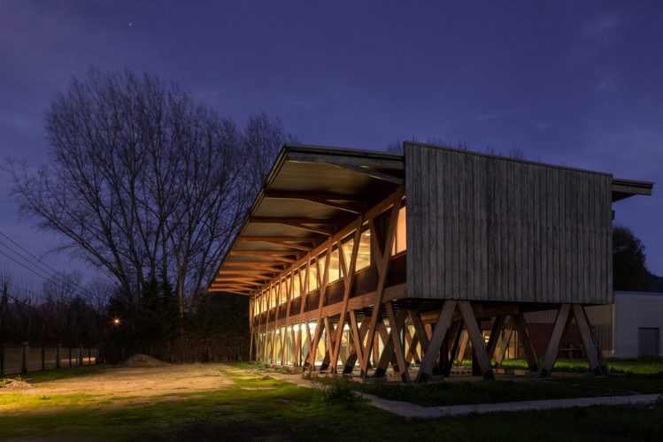 Obra_Exportadora de Miel5