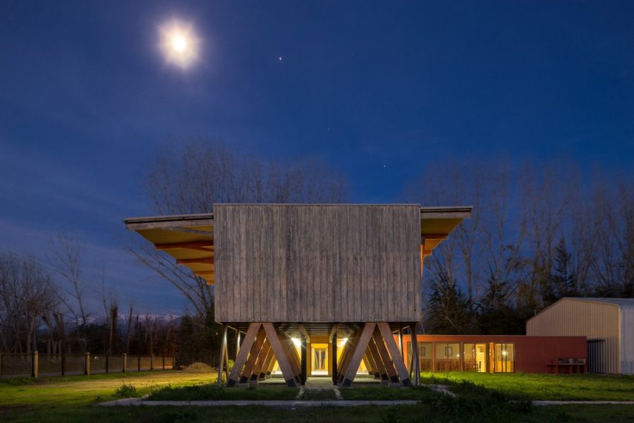 Obra_Exportadora de Miel6