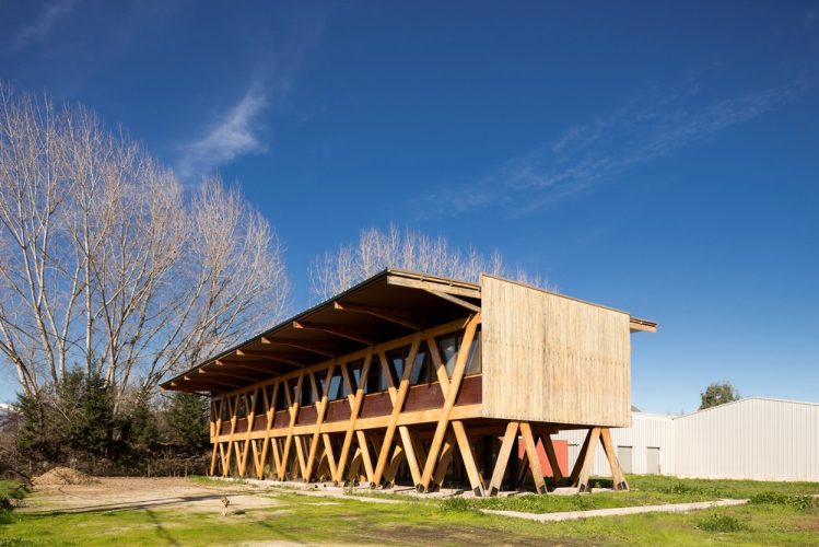 Obra_Exportadora de Miel8