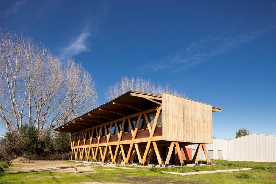 Obra_Exportadora de Miel8